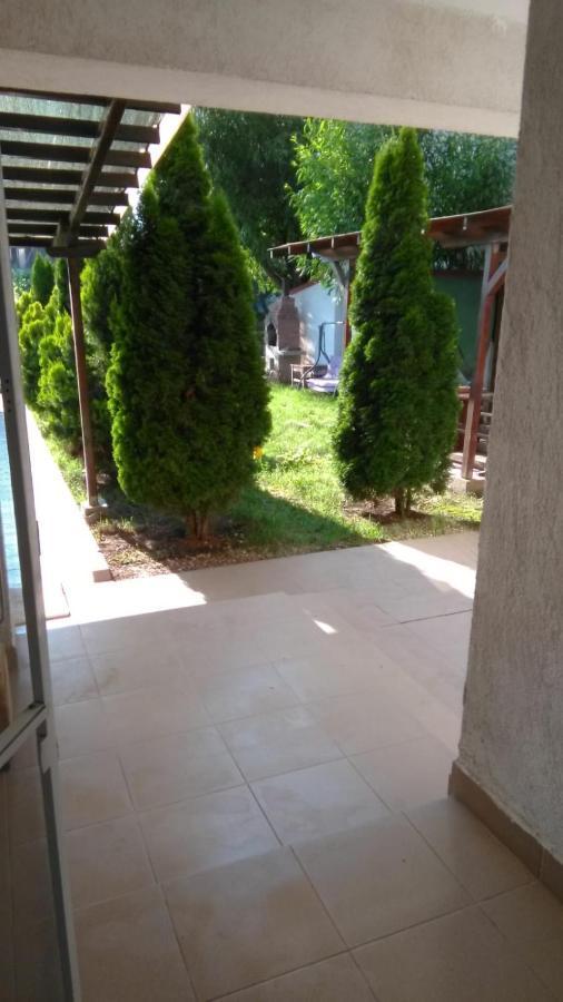 Vila Stefan Pescarusului Costinesti Bagian luar foto